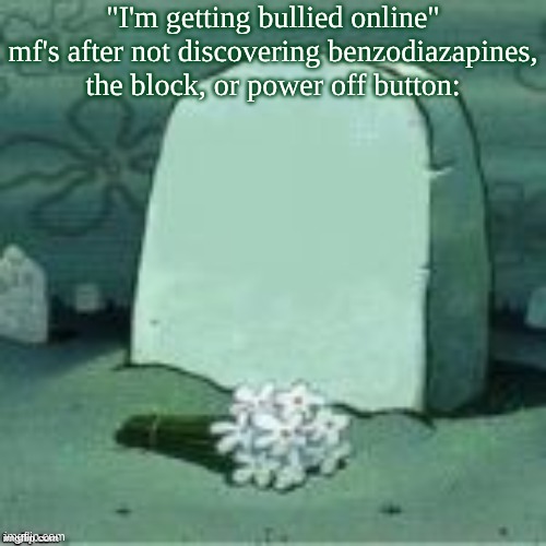 Here Lies X | "I'm getting bullied online" mf's after not discovering benzodiazapines, the block, or power off button: | image tagged in here lies x | made w/ Imgflip meme maker