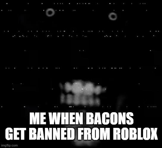 me when bacons get banned from roblox | ME WHEN BACONS GET BANNED FROM ROBLOX | image tagged in phase 29 | made w/ Imgflip meme maker