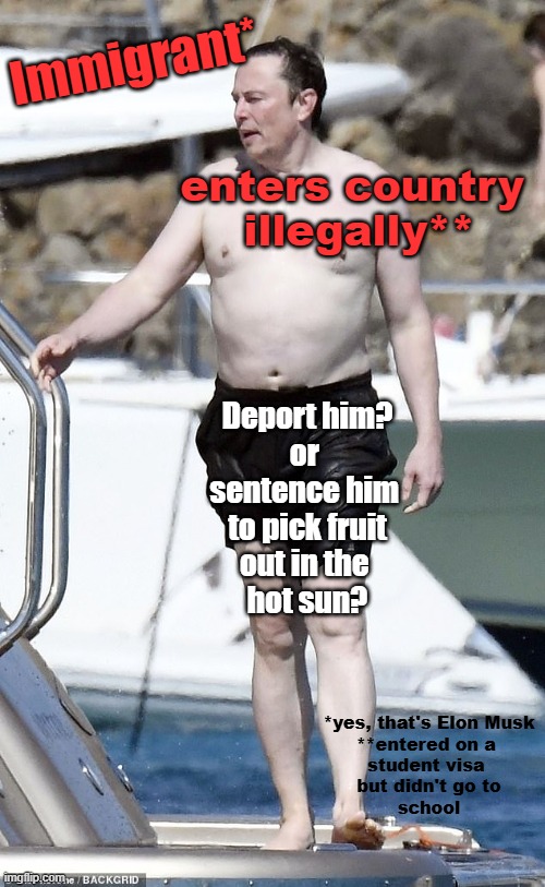 Illegal immigrants should pick fruit | Immigrant*; enters country 
illegally**; Deport him?
or 
sentence him 
to pick fruit
out in the 
hot sun? *yes, that's Elon Musk
**entered on a 
student visa 
but didn't go to
school | image tagged in elon musk,illegal immigrant,deportation,illegal immigrants | made w/ Imgflip meme maker