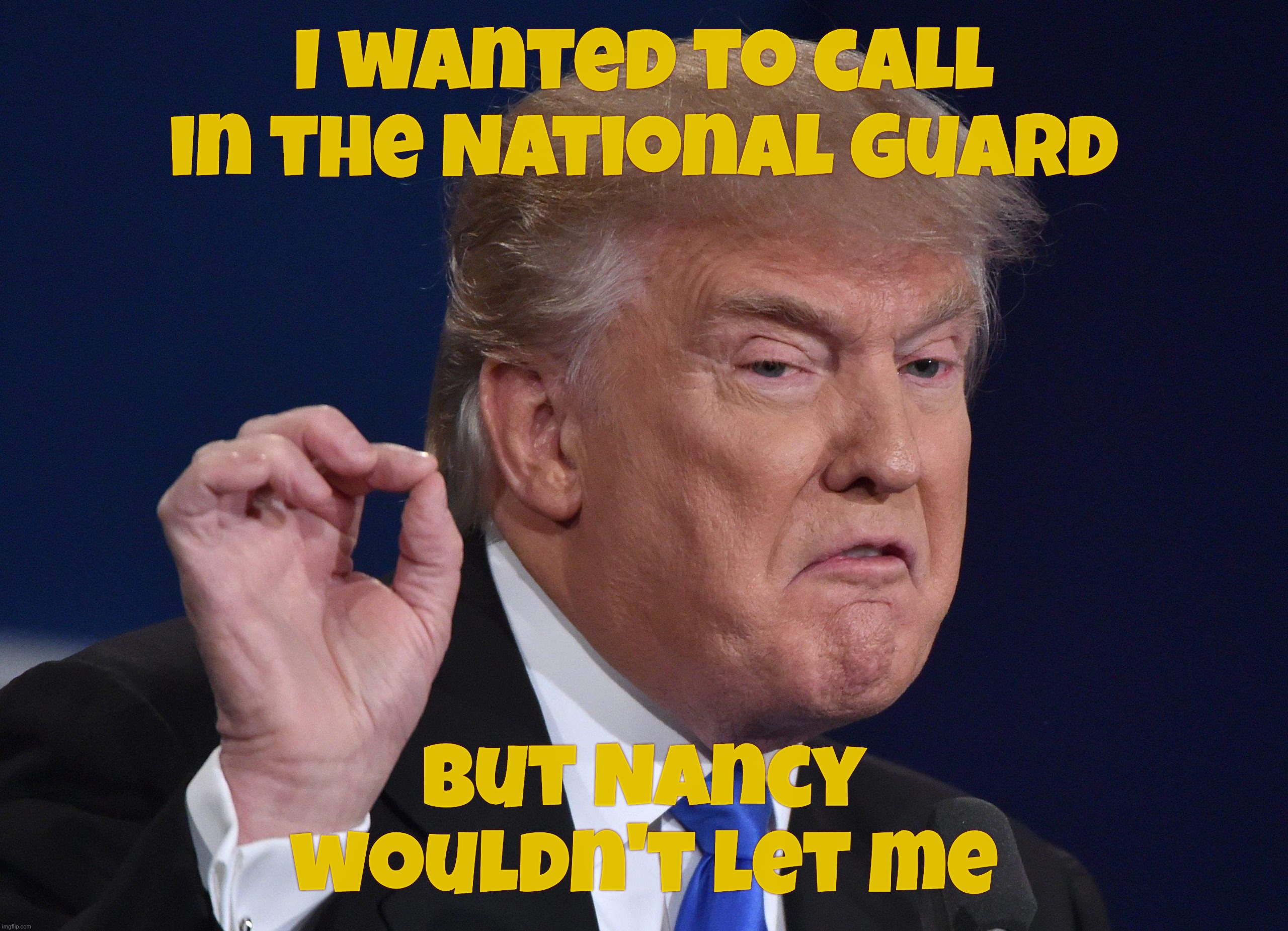 So helpless, the poor guy,,, | I wanted to call in the National Guard; But Nancy wouldn't let me | image tagged in donald trump,trump,january 6th riot,he said nancy stopped him,from calling the national guard,beta to nancy | made w/ Imgflip meme maker