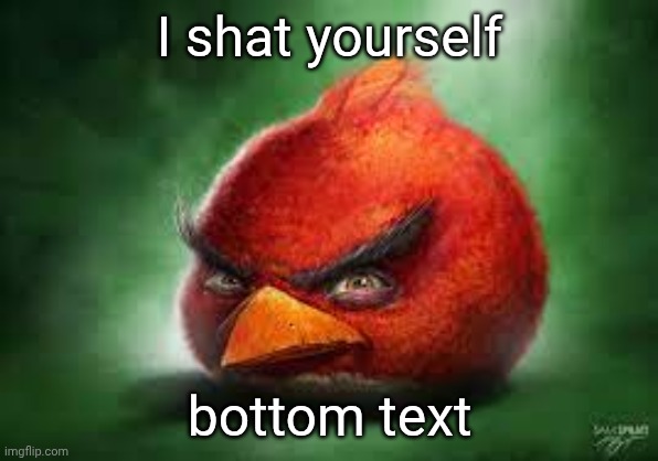 no context | I shat yourself; bottom text | image tagged in realistic red angry birds | made w/ Imgflip meme maker
