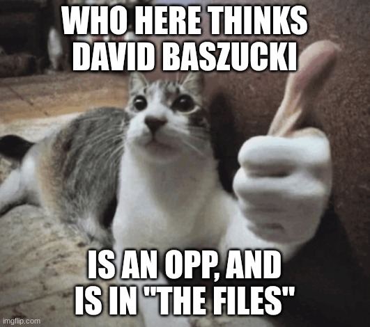 David Baszucki Allegations | WHO HERE THINKS DAVID BASZUCKI; IS AN OPP, AND IS IN "THE FILES" | image tagged in cat thumbs up,davidbaszucki | made w/ Imgflip meme maker