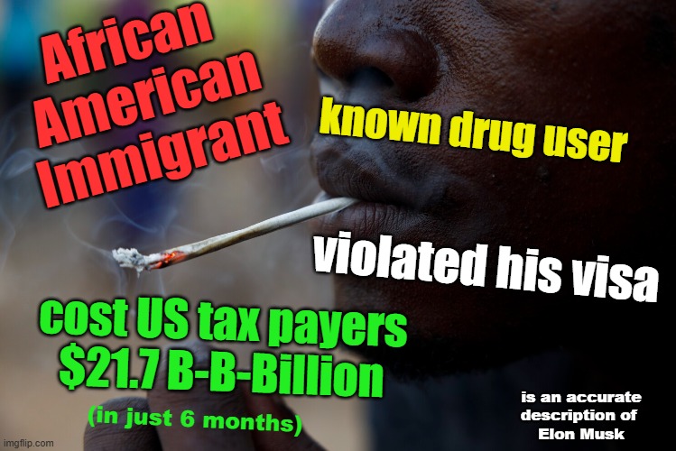 Would you judge this immigrant differently if ... | African 
American
Immigrant; known drug user; violated his visa; cost US tax payers
$21.7 B-B-Billion; is an accurate
description of 
Elon Musk; (in just 6 months) | image tagged in immigration,immigrants,elon musk,drug addiction,government corruption | made w/ Imgflip meme maker