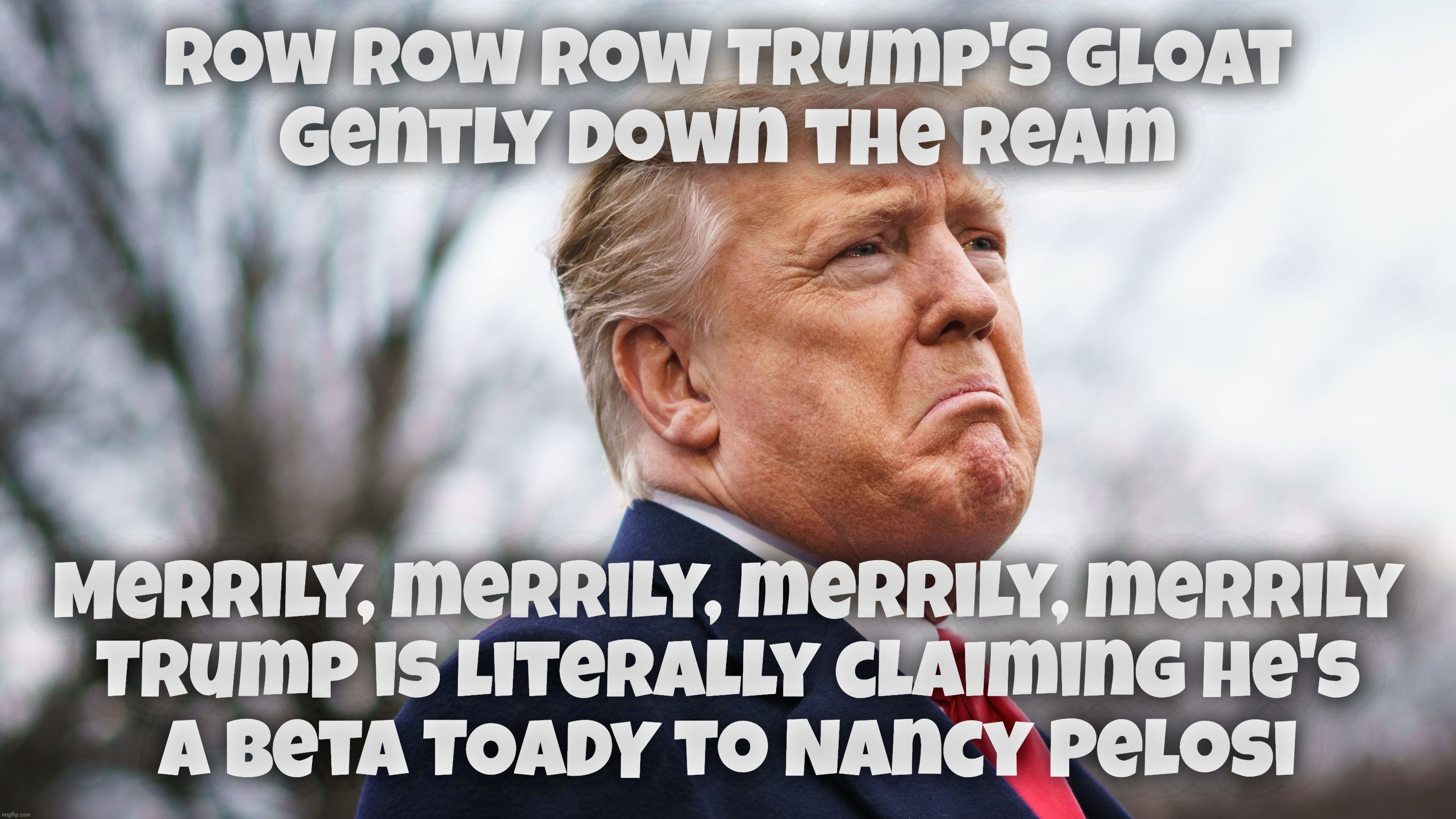 When Trump found out his wee nads where even smaller than Pelosi's | Row row row Trump's gloat
Gently down the ream; Merrily, merrily, merrily, merrily
Trump is literally claiming he's
a beta TOADY to Nancy Pelosi | image tagged in donald trump,nancy pelosi,january 6th,who's the boss,pelosi is,no national guard for donny | made w/ Imgflip meme maker