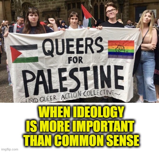 More Leftist Logic | WHEN IDEOLOGY
IS MORE IMPORTANT 
THAN COMMON SENSE | image tagged in leftists | made w/ Imgflip meme maker