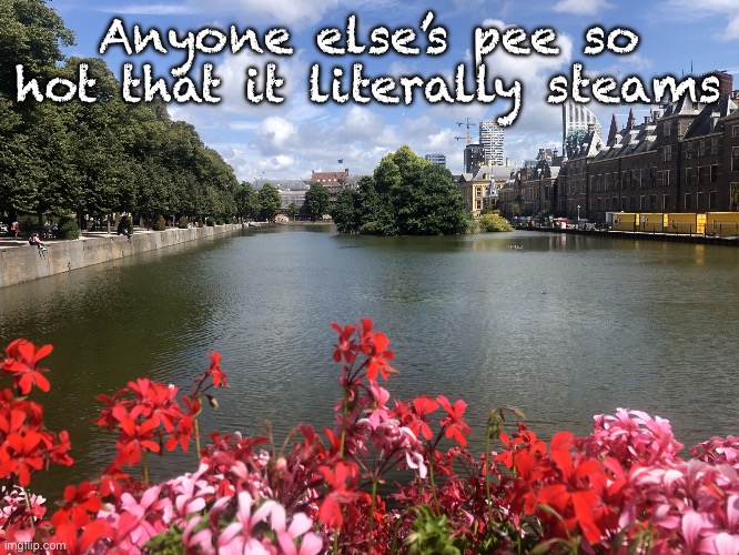 Roses | Anyone else’s pee so hot that it literally steams | image tagged in roses | made w/ Imgflip meme maker