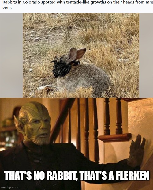 Flerkens | THAT'S NO RABBIT, THAT'S A FLERKEN | image tagged in talos | made w/ Imgflip meme maker