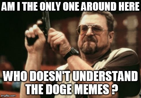Am I The Only One Around Here Meme | AM I THE ONLY ONE AROUND HERE WHO DOESN'T UNDERSTAND THE DOGE MEMES ? | image tagged in memes,am i the only one around here | made w/ Imgflip meme maker