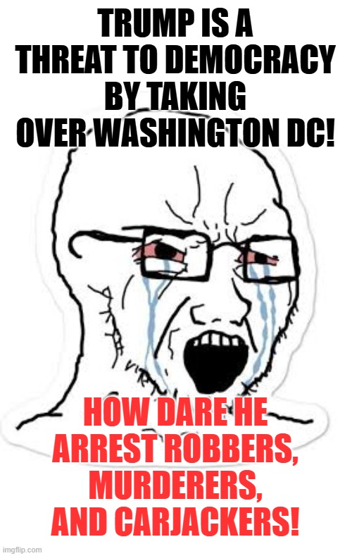 The LEFT truly is INSANE. | TRUMP IS A THREAT TO DEMOCRACY BY TAKING OVER WASHINGTON DC! HOW DARE HE ARREST ROBBERS, MURDERERS, AND CARJACKERS! | image tagged in soy boy cry,leftist weenies,democrats are criminals | made w/ Imgflip meme maker