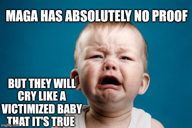 BABY CRYING | MAGA HAS ABSOLUTELY NO PROOF BUT THEY WILL CRY LIKE A VICTIMIZED BABY THAT IT'S TRUE | image tagged in baby crying | made w/ Imgflip meme maker