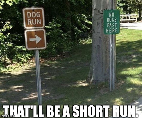 That'll Be A Short Run. | THAT'LL BE A SHORT RUN. | image tagged in chrisjoines1 | made w/ Imgflip meme maker