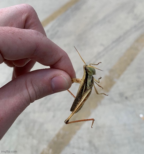 Ok don’t have long legs then idiot | made w/ Imgflip meme maker