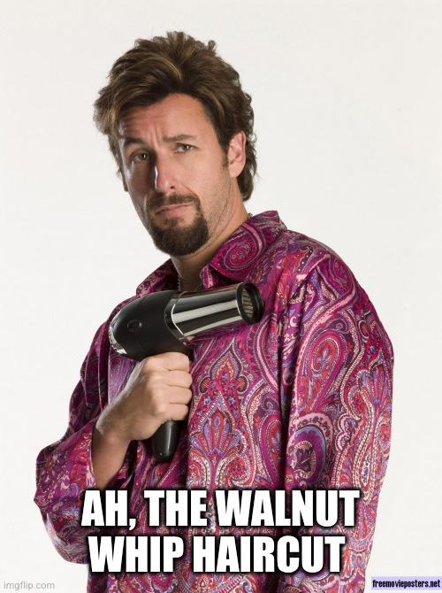 Zohan | AH, THE WALNUT WHIP HAIRCUT | image tagged in zohan | made w/ Imgflip meme maker
