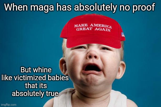 Proof? Maga don't need no stinking proof? | When maga has absolutely no proof; But whine like victimized babies 
that its absolutely true | image tagged in trump lied maga lied,no proof no problem,make it up on the fly,i saw it on facebook,cry me a river maga | made w/ Imgflip meme maker