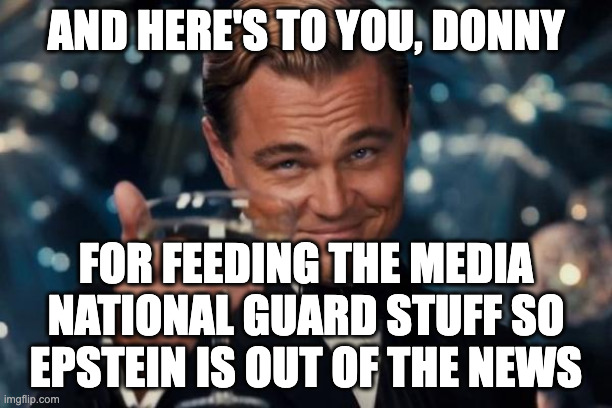 Cheers to the genius | AND HERE'S TO YOU, DONNY; FOR FEEDING THE MEDIA NATIONAL GUARD STUFF SO EPSTEIN IS OUT OF THE NEWS | image tagged in memes,leonardo dicaprio cheers,hail to donald trump | made w/ Imgflip meme maker