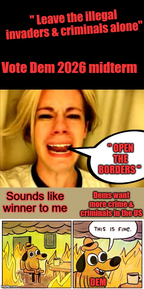 Stop picking on Juan | " Leave the illegal invaders & criminals alone"; Vote Dem 2026 midterm; " OPEN THE BORDERS "; Dems want more crime & criminals in the US; Sounds like winner to me; DEM | image tagged in memes,this is fine | made w/ Imgflip meme maker