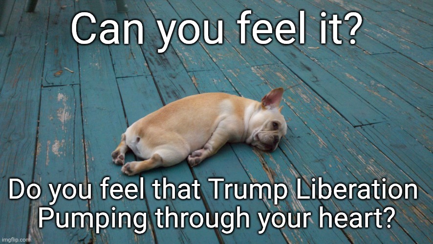 Trump calls Government take over "Liberation day''" | Can you feel it? Do you feel that Trump Liberation 
Pumping through your heart? | image tagged in trump fascism on full display,maga love for dictator,big government is fine and pedophiles,dc takeover | made w/ Imgflip meme maker