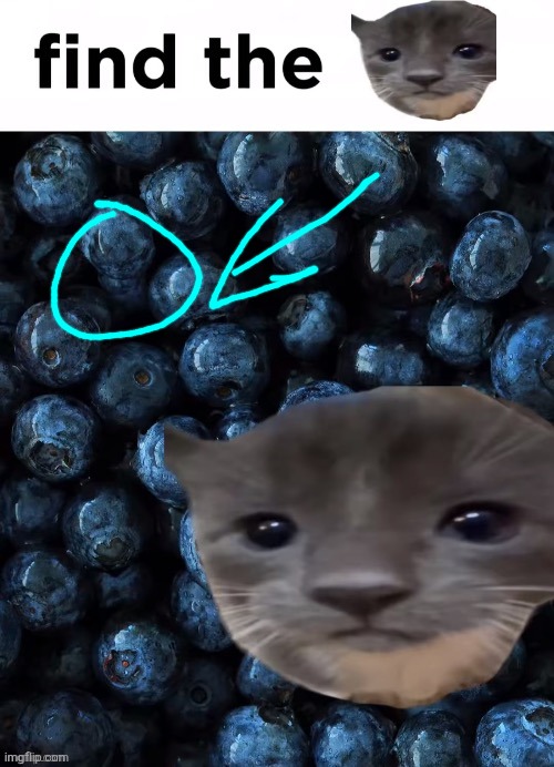 Blœberi | made w/ Imgflip meme maker