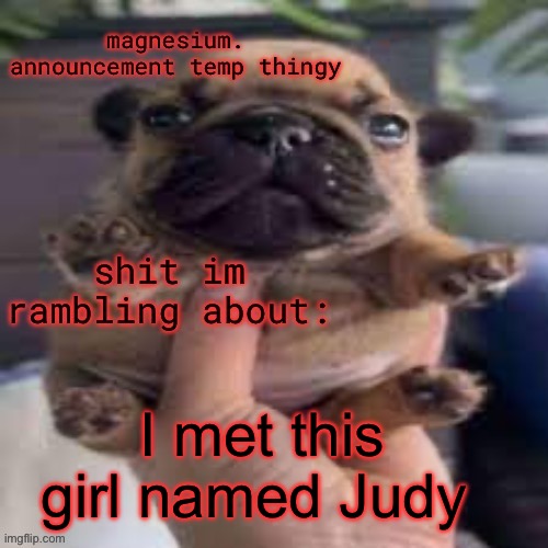 pug temp | I met this girl named Judy | image tagged in pug temp | made w/ Imgflip meme maker