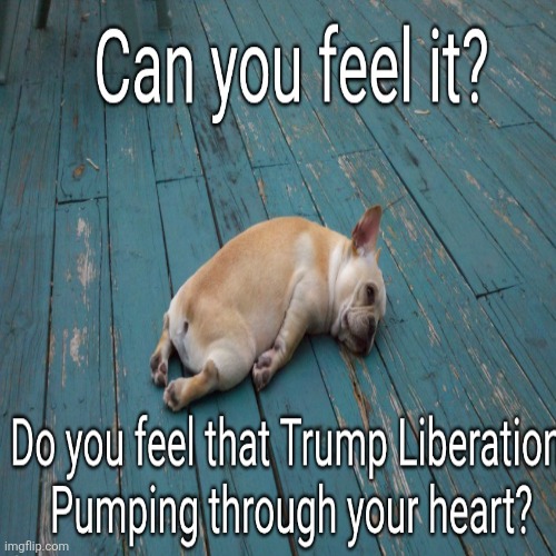 Trump calls Big Government takeover of DC "Liberation" | image tagged in trump fascism,maga loves a dictator,liberation of what,police state,military presence of us cities,this is america | made w/ Imgflip meme maker