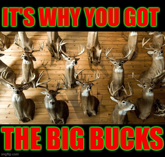 IT'S WHY YOU GOT THE BIG BUCKS | made w/ Imgflip meme maker
