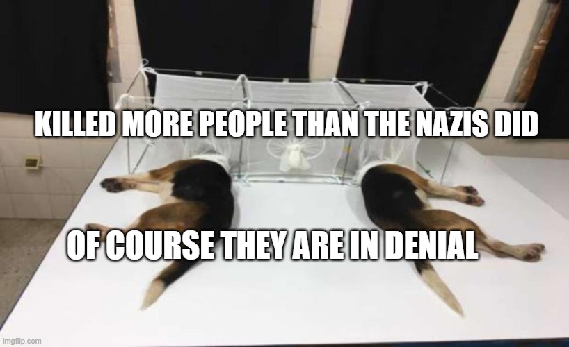 Fauci Beagles | KILLED MORE PEOPLE THAN THE NAZIS DID; OF COURSE THEY ARE IN DENIAL | image tagged in fauci beagles | made w/ Imgflip meme maker