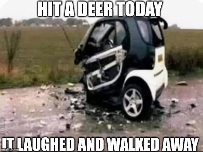 Hit A Deer Today It Laughed And Walked Away | HIT A DEER TODAY; IT LAUGHED AND WALKED AWAY | image tagged in chrisjoines1 | made w/ Imgflip meme maker
