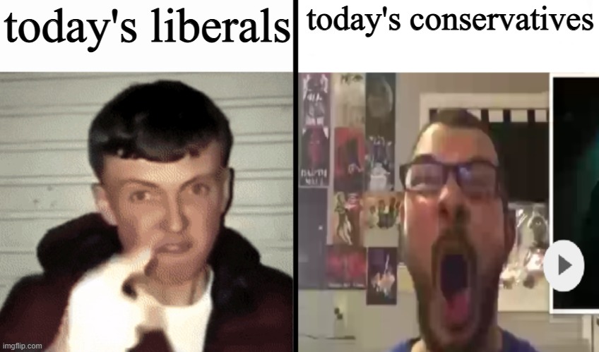 Average Fan VS Nerd Average Fan | today's liberals; today's conservatives | image tagged in average fan vs nerd average fan,liberal,conservative | made w/ Imgflip meme maker