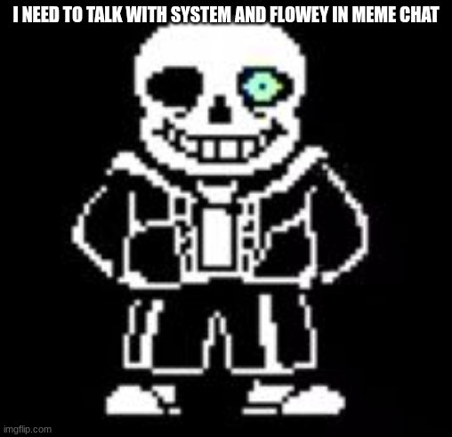 I had a little chat with a certain someone | I NEED TO TALK WITH SYSTEM AND FLOWEY IN MEME CHAT | image tagged in sans bad time | made w/ Imgflip meme maker