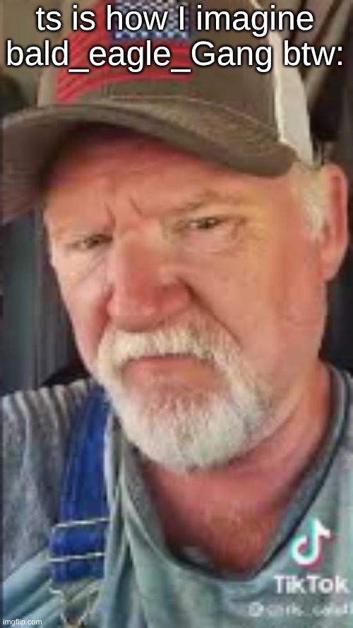 ts is how I imagine bald_eagle_Gang btw: | made w/ Imgflip meme maker