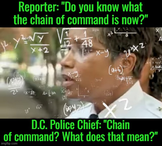 Ignorance is Bliss | Reporter: "Do you know what the chain of command is now?"; D.C. Police Chief: "Chain of command? What does that mean?" | image tagged in chain of command | made w/ Imgflip meme maker