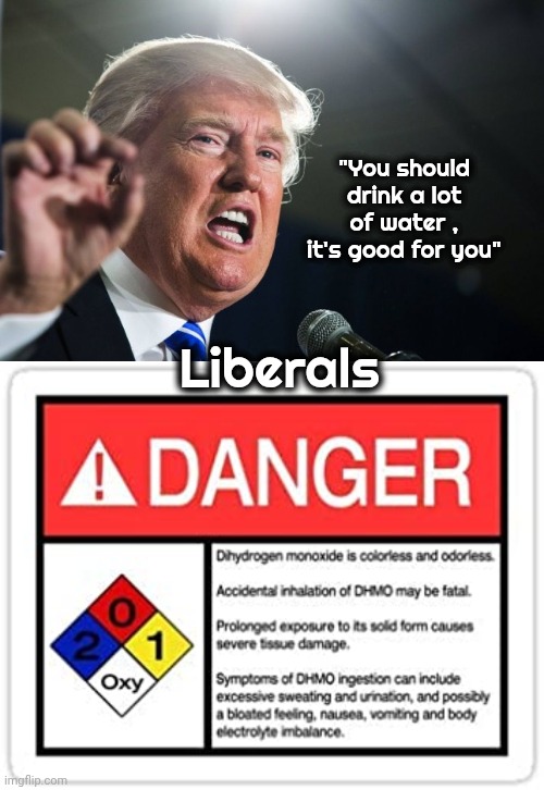 "You should drink a lot of water , it's good for you" Liberals | image tagged in donald trump,water hazard | made w/ Imgflip meme maker