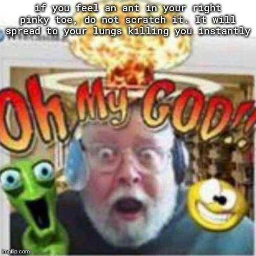 Oh My GOD!! | if you feel an ant in your right pinky toe, do not scratch it. It will spread to your lungs killing you instantly | image tagged in oh my god | made w/ Imgflip meme maker