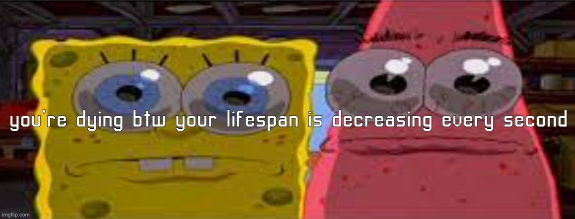 sobgih ans patbur | you're dying btw your lifespan is decreasing every second | image tagged in sobgih ans patbur | made w/ Imgflip meme maker