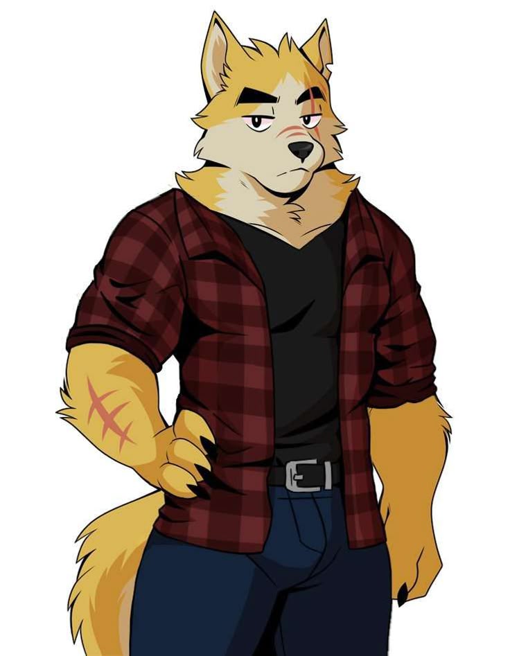 Flannel furry Blank Meme Template