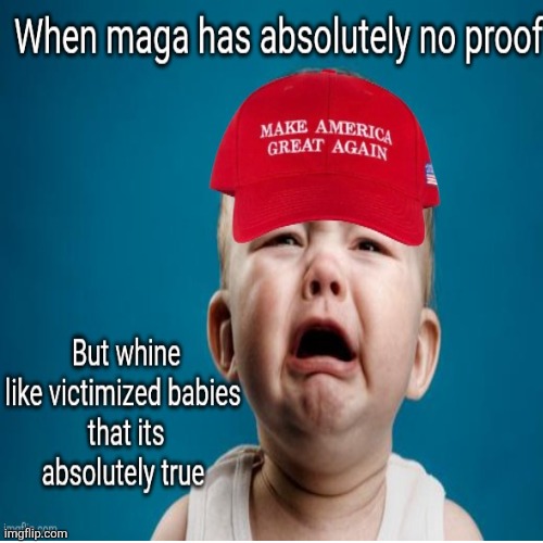 Proof? Maga don't need no stinking proof? | image tagged in trump lies maga parrots the lie,no proof no problem,we don't need fact to accuse you,trump is our truth nothing else matters | made w/ Imgflip meme maker