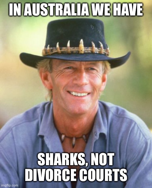 Noice! | IN AUSTRALIA WE HAVE SHARKS, NOT DIVORCE COURTS | image tagged in noice | made w/ Imgflip meme maker