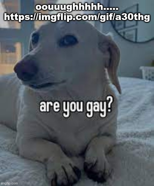 upvote ts | oouuughhhhh.....
https://imgflip.com/gif/a30thg | image tagged in are you gay | made w/ Imgflip meme maker
