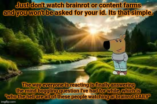 chill guy | Just don't watch brainrot or content farms and you won't be asked for your id. Its that simple. The way everyone is reacting is finally answering the mind boggling question I've had for while, which is "who the hell are all of these people watching ai brainrot DAILY" | image tagged in chill guy | made w/ Imgflip meme maker