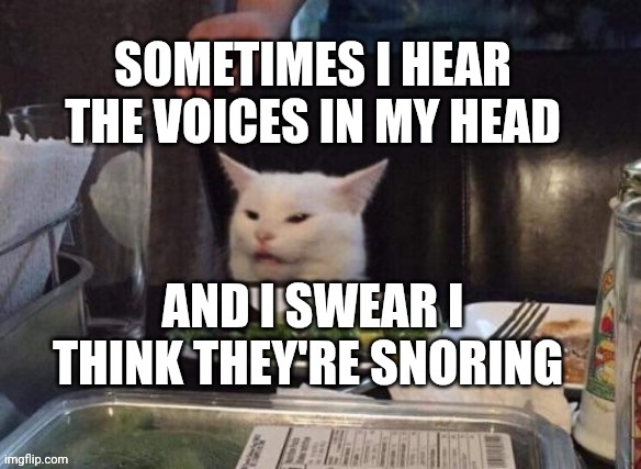 Smudge that darn cat | SOMETIMES I HEAR THE VOICES IN MY HEAD; AND I SWEAR I THINK THEY'RE SNORING | image tagged in smudge that darn cat | made w/ Imgflip meme maker