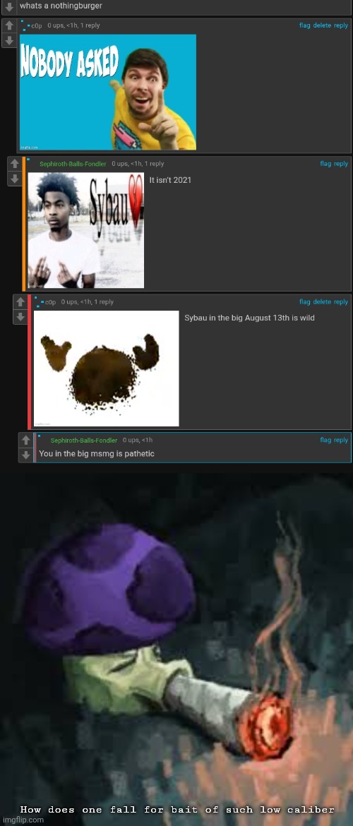 you HAVE to admit this guy fell for something | How does one fall for bait of such low caliber | image tagged in bait used to be believable puffshroom | made w/ Imgflip meme maker