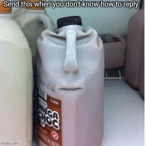 the nefarious evil chocolate milk carton | Send this when you don't know how to reply | image tagged in the nefarious evil chocolate milk carton | made w/ Imgflip meme maker