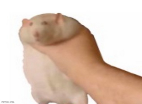 Ratatouille | image tagged in ratatouille | made w/ Imgflip meme maker