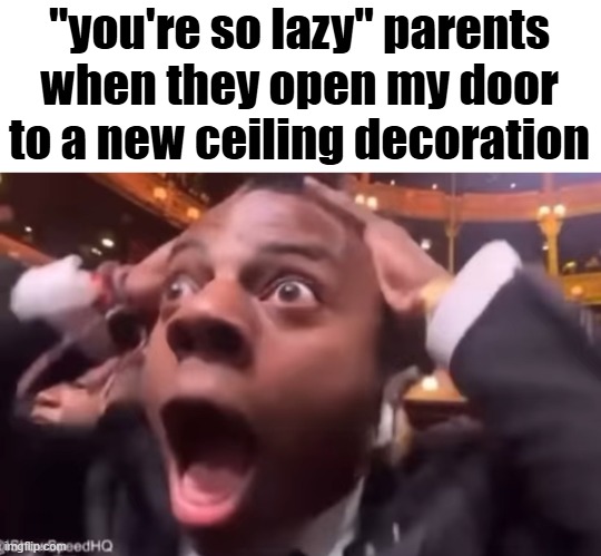 fr fr ong?!?!? | "you're so lazy" parents when they open my door to a new ceiling decoration | image tagged in fr fr ong | made w/ Imgflip meme maker