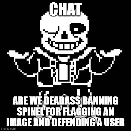 sans undertale | CHAT; ARE WE DEADASS BANNING SPINEL FOR FLAGGING AN IMAGE AND DEFENDING A USER | image tagged in sans undertale | made w/ Imgflip meme maker