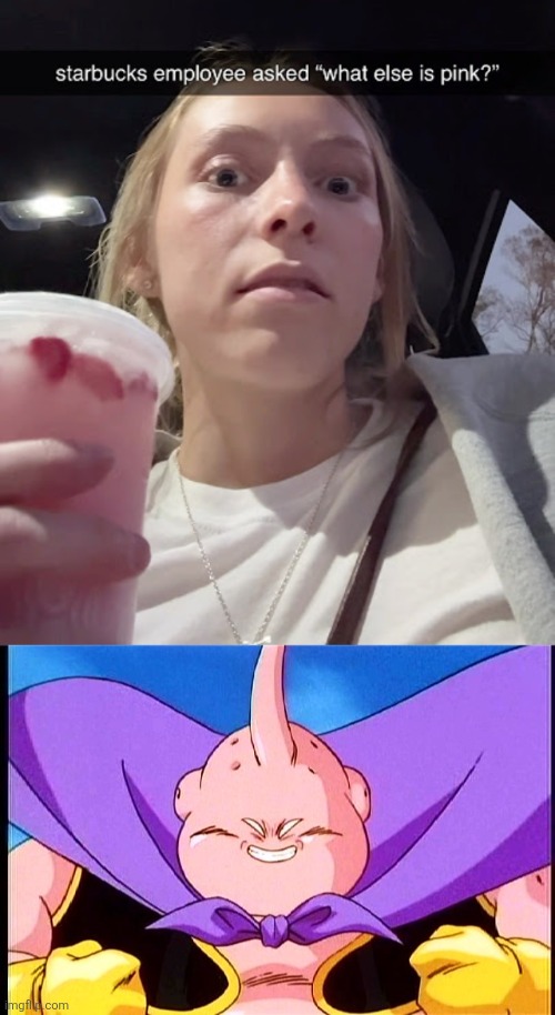 What else is pink? | image tagged in pink,starbucks,dragon ball z | made w/ Imgflip meme maker