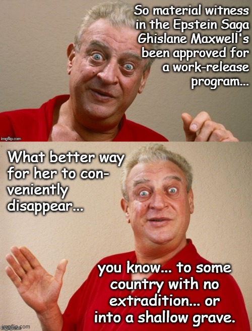 Let's see where this goes. | So material witness
in the Epstein Saga
Ghislane Maxwell's
been approved for
a work-release
program... What better way
for her to con- 
veniently
disappear... you know... to some
country with no
extradition... or
into a shallow grave. | image tagged in rodney dangerfield,trump,maxwell,gotta take care of the witnesses,one way or another | made w/ Imgflip meme maker