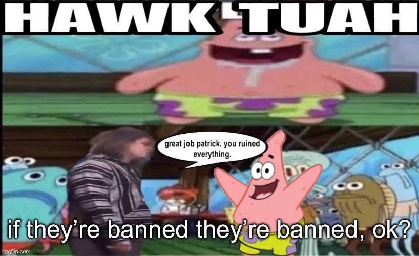 hawk tuah patrick | if they’re banned they’re banned, ok? | image tagged in hawk tuah patrick | made w/ Imgflip meme maker
