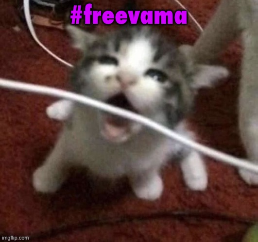 I LOVE EATING CABLES | #freevama | image tagged in i love eating cables | made w/ Imgflip meme maker