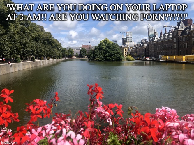 absolute cinema | 'WHAT ARE YOU DOING ON YOUR LAPTOP AT 3 AM!! ARE YOU WATCHING PORN??!?!!' | image tagged in roses | made w/ Imgflip meme maker
